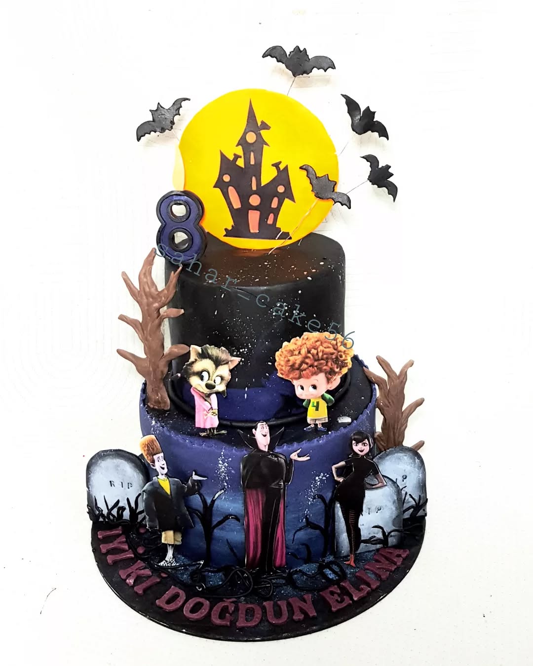 هتل ترانسیلوانیا